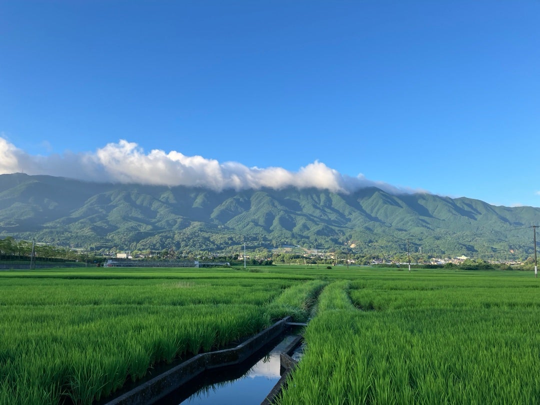 べあ田主丸